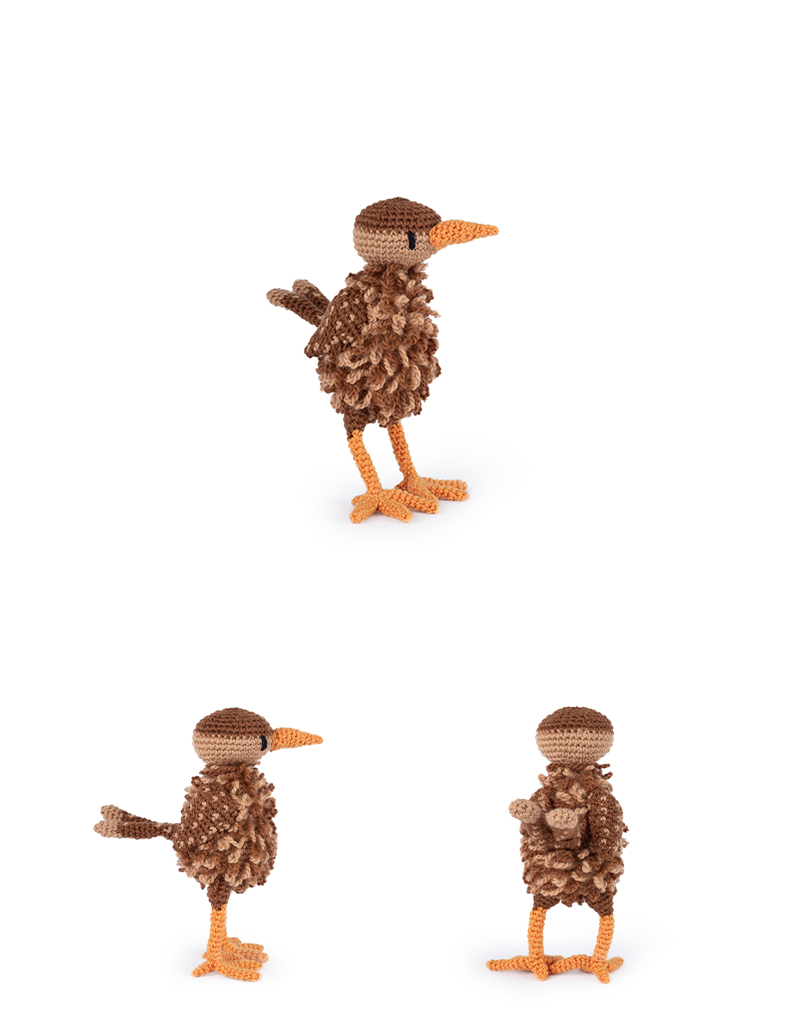 Jenny the Wren